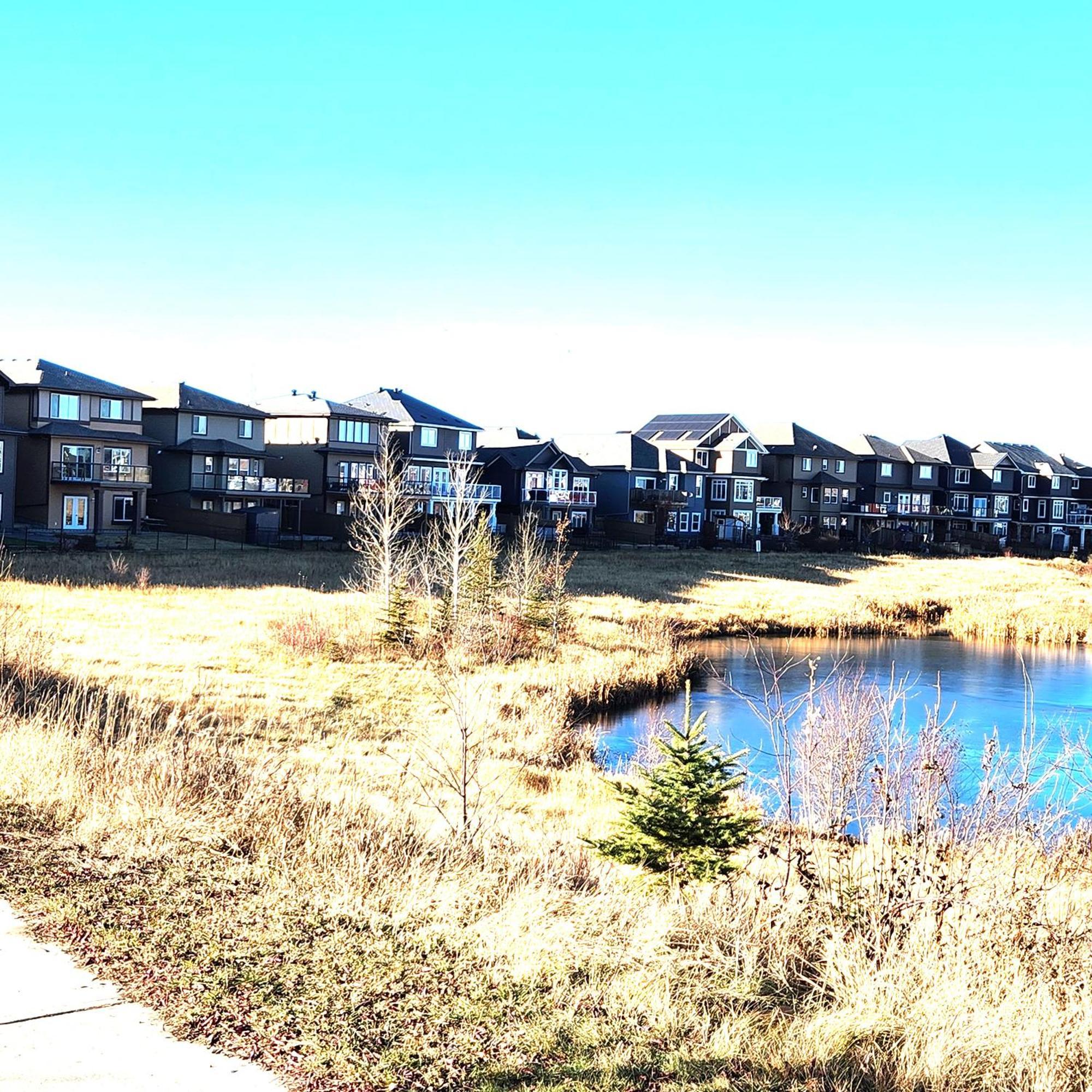 Rare Find. Legal Basement Suite With Separate Ent. Nisku Exterior photo